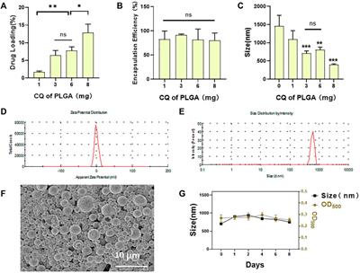 Therapeutic Effect of Ultrasound Combined With Porous Lipid Clioquinol/PLGA Microbubbles on Ferroptosis in HL-1 Cardiac Cell Induced by Isoproterenol Attack